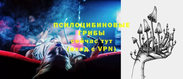 шишки Белоозёрский