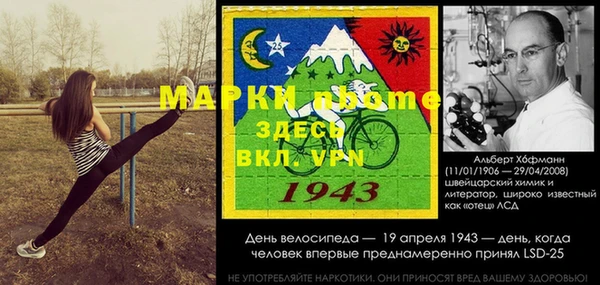 шишки Белоозёрский