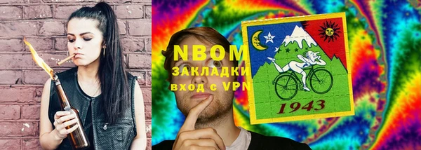 шишки Белоозёрский