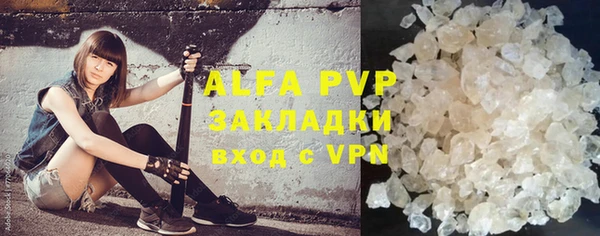 шишки Белоозёрский