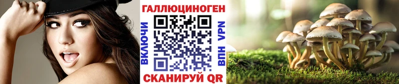 где продают   Славгород  Галлюциногенные грибы мухоморы 