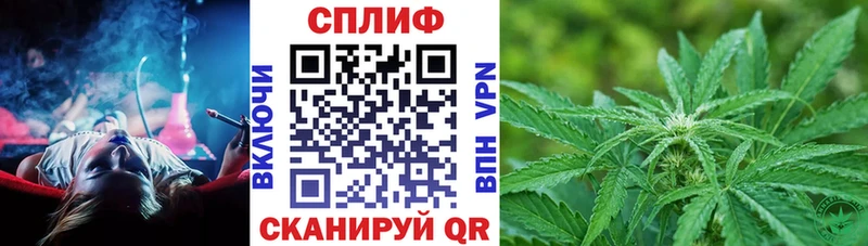 Бошки Шишки VHQ  Славгород 